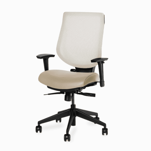 ergonofis YouToo ergonomic office chair